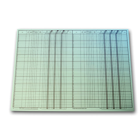 Route Sheet - BIG GREEN, 28" x  20", 50 Per Pad - Independent Dealer Services