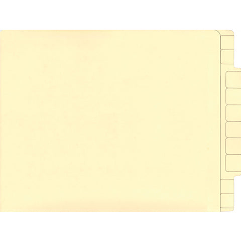 File Folder - Plain - CC Ext. Tabty. 100 per Box - Independent Dealer Services