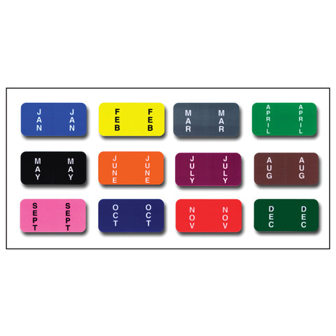 Full Set - Color Code RINGBOOK Months (Jan.-Dec.) 12 Packs - Independent Dealer Services